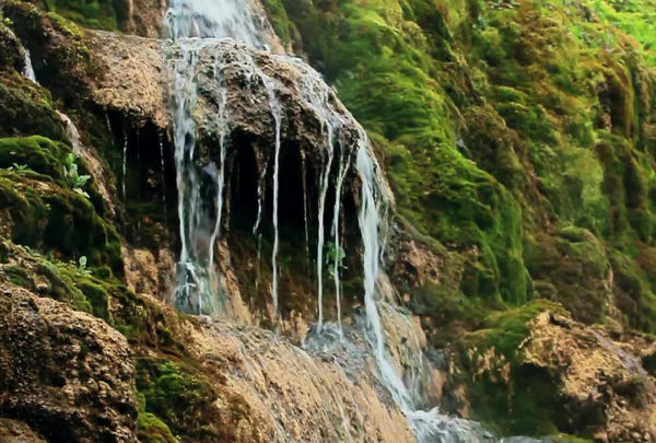 Image Credit Marty Mellway httpswww.flickr.comphotosmmellway28444994616 Hanging Gardens at Liard Hot Springs