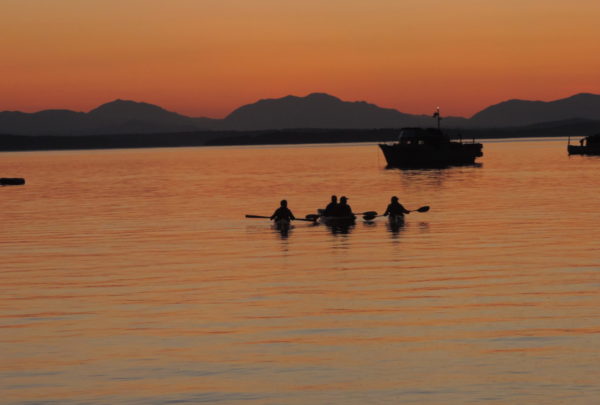 Image Credit:  Barbara Sibbald  Montague Harbour Prov Park
